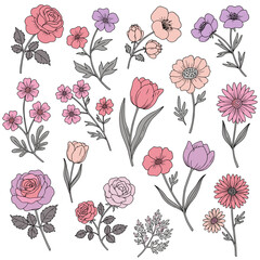 Pastel Colored Flower Illustrations Set. Hand-Drawn Vector Botanical Blossoms and Leaves Collection