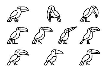 Toucan Illustration Set: A playful collection of toucan illustrations captures the bird's striking form in a variety of poses, perfect for adding a touch of exotic charm to your creative projects.