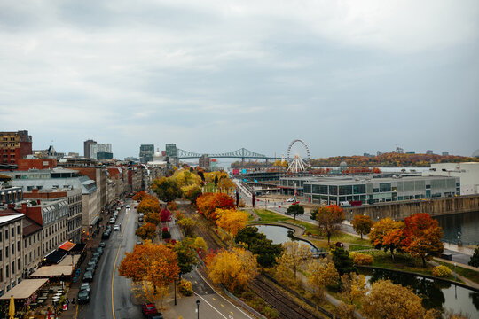 Autumn view of downtown montreal with colorful foliage