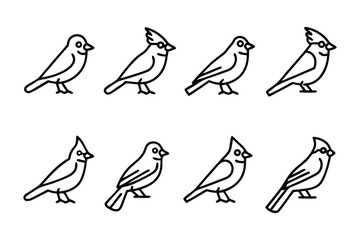 Avian Lineup: A stylized collection of outlined avian figures, gracefully presented in a graphic arrangement. Each bird, meticulously crafted with elegant lines.