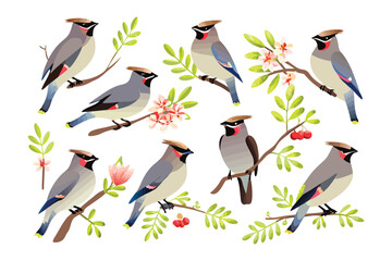 Enchanting Collection of Birds: A collection of stylized, photorealistic birds perching on branches and accompanied by delicate foliage and flowering elements, capturing the essence of nature's grace.