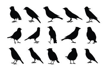 Elegant Bird Silhouettes: A series of graceful bird silhouettes showcases the beauty and diversity of avian forms. Each silhouette is a tribute to these beautiful creatures.