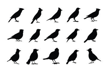 Bird Silhouettes: A collection of meticulously crafted bird silhouettes, each a testament to avian elegance and diversity, providing a unique set of artistic assets.