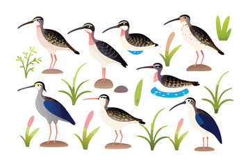 Collection of various birds: A charming collection of diverse birds perched, each exhibiting unique features and behaviors in a vibrant illustration, captured in a bright and sunny daytime setting.