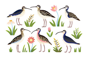 Obraz premium Elegant Wading Birds in a Floral Haven: A charming illustration showcases a variety of wading birds amidst delicate wildflowers and vibrant foliage.