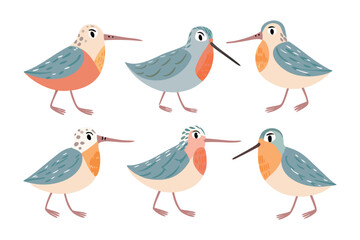 Delightful Shorebirds: A cheerful set of six vibrant shorebirds, each adorned with unique plumage, is captured in this charming illustration. The birds stand in various poses.