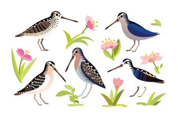 Artistic Bird with Floral Elements: This image shows an artistic presentation of various bird species amidst charming floral elements and lush foliage.