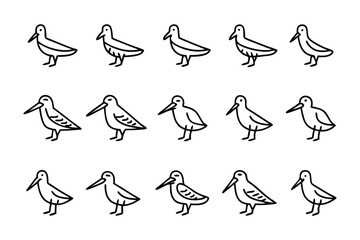 Shorebirds in Line: A set of artistic line drawings of adorable shorebirds, standing in neat lines, ideal for educational or decorative purposes.