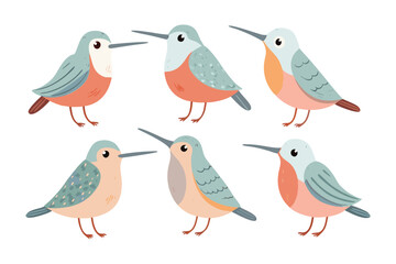 Colorful Bird Illustrations: A collection of six stylized bird illustrations with soft color palettes, exuding charm and versatility for various creative endeavors. 