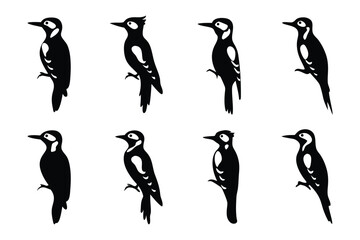 Woodpecker Silhouettes: A series of minimalist black and white depictions of woodpeckers showcases the striking silhouette and elegant form of this distinct bird.