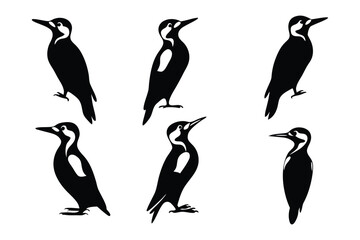 Naklejka premium Silhouette Woodpeckers: A collection of silhouette woodpeckers, capturing their distinctive forms, against a neutral background.