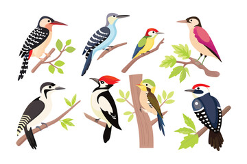 Colorful Woodpecker Collection: A captivating array of vibrant woodpeckers perch on branches, showcasing a symphony of colors and intricate patterns of nature's artistry.