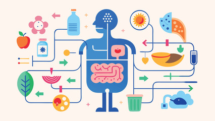 Human body digestive system health and nutrition illustration diagram showing organs and food processing with arrows and shapes
