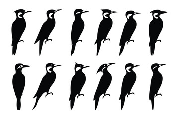 Naklejka premium Woodpecker Silhouettes: A collection of detailed silhouettes of woodpeckers, each poised in various stances. conveying the essence of the bird's striking form.