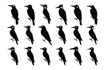 Black Woodpecker Silhouettes: A graphic array showcases multiple, cleanly defined silhouettes of a black woodpecker perched on a branch, embodying simplicity and avian elegance.