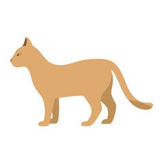 "Ultimate SVG Vector Design Bundle &ndash; Abstract, Geometric, Botanical, Mandala, Minimal, Vintage & Modern Elements for Cricut, Laser Cutting, Sublimation, and DIY Crafts"