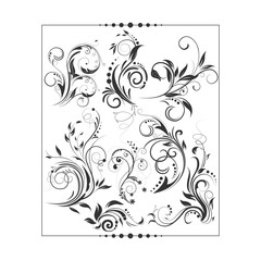 Ornament New Design Black And White