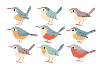 Colorful Birds: A delightful array of charming avian illustrations, showcasing vibrant plumage and unique designs in a captivating collection.