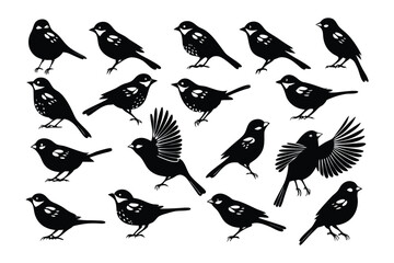 Birds Silhouette Collection: A collection of diverse bird silhouettes, showcasing their unique forms and elegance against a minimalist backdrop. perfect for illustrative purposes
