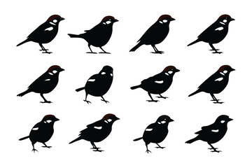 Silhouette Bird Collection: A clean and striking illustration showcases a flock of silhouette birds, each exquisitely rendered to highlight their graceful form and intricate feather detailing.