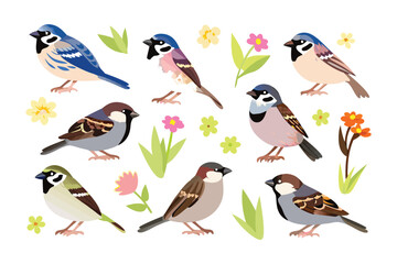 Colorful Bird Collection: A captivating ensemble of exquisitely illustrated birds, each adorned with unique feather patterns and vibrant hues, is delicately juxtaposed with lively floral elements.