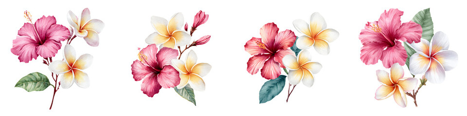 Fototapeta premium Set of Tropical Flowers: Hibiscus and Plumeria Art