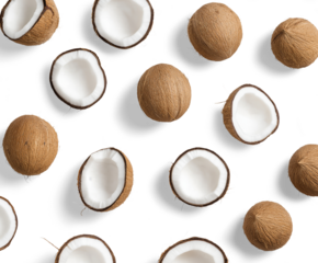 Pattern of whole and halved coconuts on transparent background