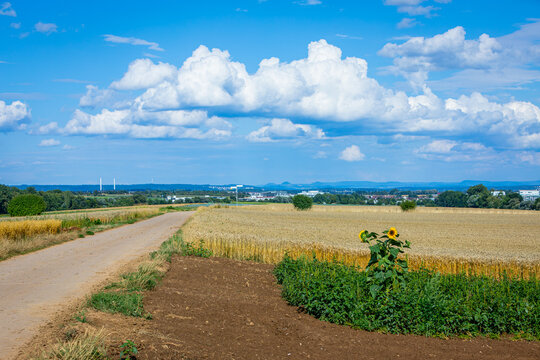 summer landscape with nice clouds and fields