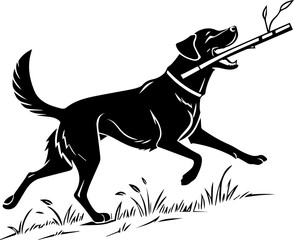 Obraz premium Energetic Black Labrador Retriever Dog Running with Stick Silhouette