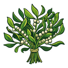 Mistletoe branches vector color illustration. Bunch of Christmas traditional plant on isolated background for cards and design