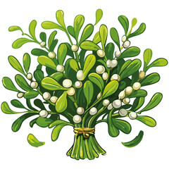 Mistletoe branches vector color illustration. Bunch of Christmas traditional plant on isolated background for cards and design