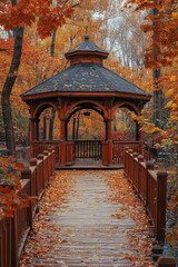 Fototapeta premium Intense gaze in the fall foliage.