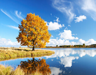 A solitary tree with golden leaves stands by a tranquil lake, reflecting the clear blue sky and creating a stunning autumn scene.