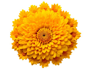 Marigold Flower rangoli Design for Diwali Festival , Indian Festival flower decoration