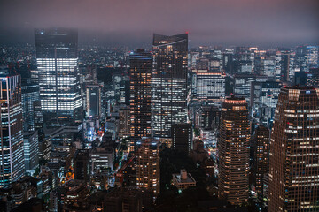 Fototapeta premium 東京タワーから見た東京のビル群の夜景