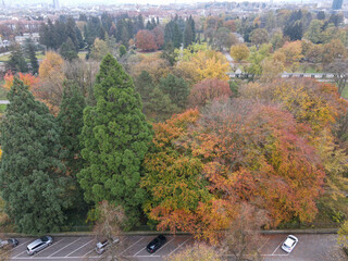 Autumn landscape of Sihlfeld cemetery on Zurich, Switzerland