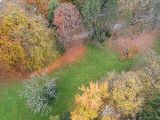 Autumn landscape of Sihlfeld cemetery on Zurich, Switzerland