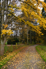 Autumn landscape of river Sihl on Zurich, Switzerland