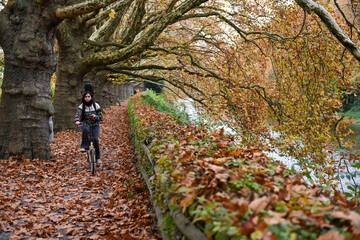 Autumn landscape of river Sihl on Zurich, Switzerland