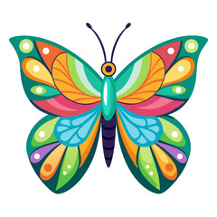 butterfly on a white