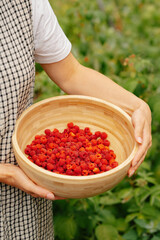 A person joyfully holds a bowl overflowing with fresh, juicy raspberries in a beautifully lush garden setting