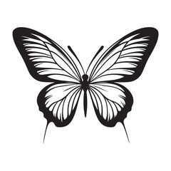 butterfly silhouette set. butterfly vector illustration. butterfly isolated vector on white background.
