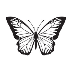 butterfly silhouette set. butterfly vector illustration. butterfly isolated vector on white background.
