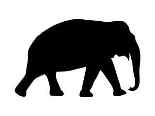 Hand drawning Asia Elephant Silhouette vector illustration isolated on white background-Elephant Silhouette Silhouette,Animal Elephant Silhouettes vector illustration