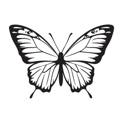 butterfly silhouette set. butterfly vector illustration. butterfly isolated vector on white background.