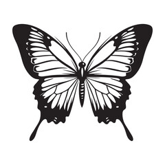 butterfly silhouette set. butterfly vector illustration. butterfly isolated vector on white background.