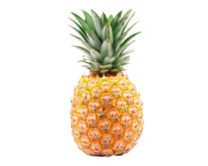 Isolated fresh pineapple on transparent background showing texture and botanical details