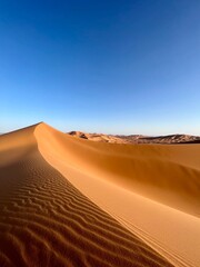Golden sand dunes under clear blue sky in the Sahara desert