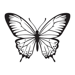 butterfly silhouette set. butterfly vector illustration. butterfly isolated vector on white background.