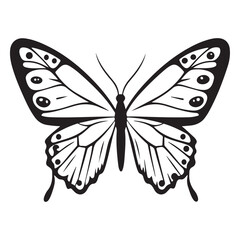 butterfly silhouette set. butterfly vector illustration. butterfly isolated vector on white background.